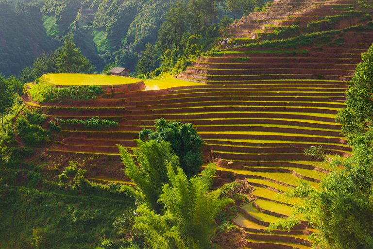 Best Utility Off Road Vehicles: Mars Guide