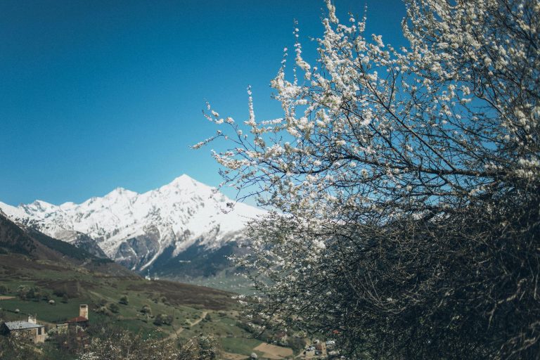 How to Clean RV Roof Safely: Mars Guide