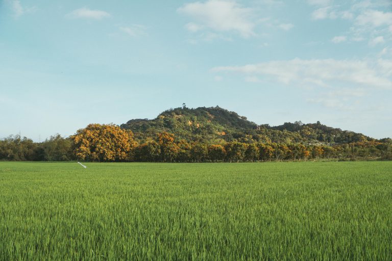 Best Off Road RV Trailer Guide for Off-Grid Travel