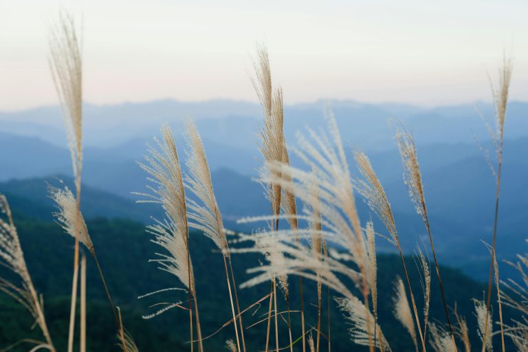 RV Small Space Organization Tips & Hacks