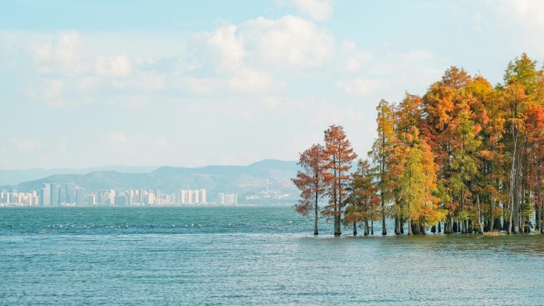 Toy Hauler Off Road Trailer Guide for Off-Grid Travel