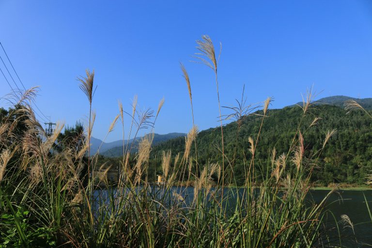 On the Road RV Guide: Travel, Live & Explore USA