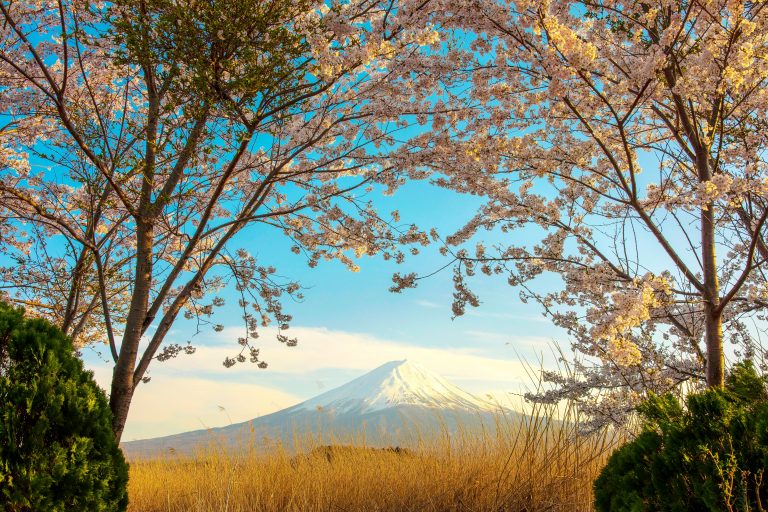 Portable RV Air Conditioner Guide for Easy Cooling