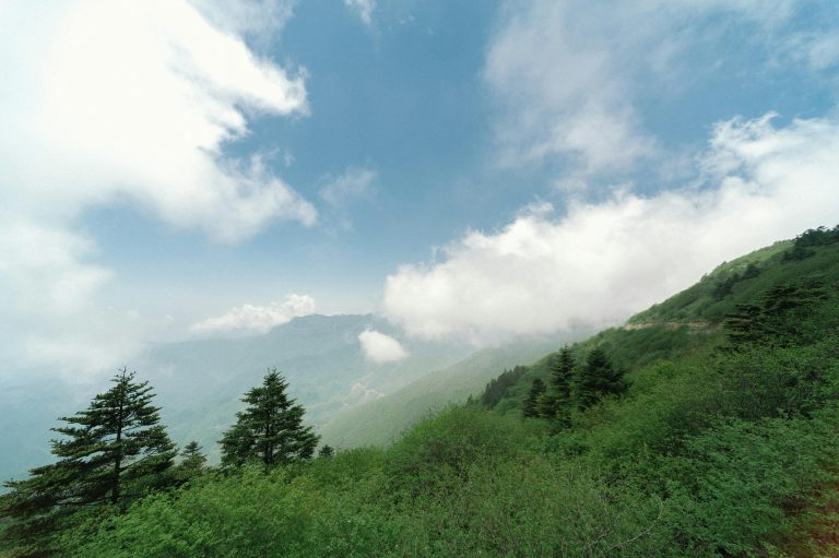 Lightweight Off Road Trailer: Mars Guide