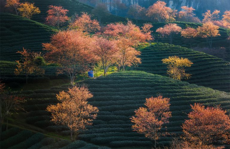 High Clearance Camper: Mars Off-Road Guide