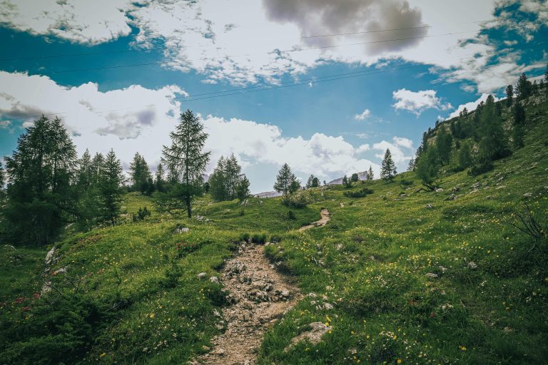 Rambler RV Features and Layout : Mars Guide