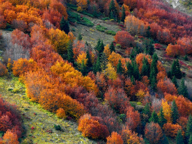 Off Road Modifications: Complete Truck Guide