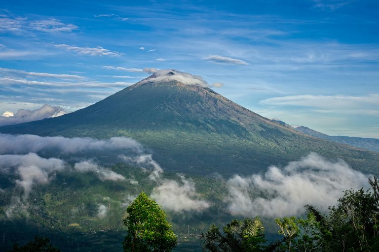 Off Road Rigs Build Guide: Setup & Mods