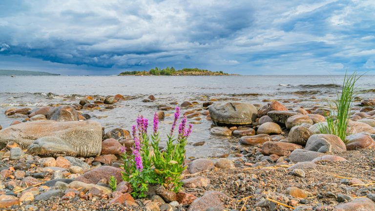 Off Road Expedition Trailer Guide for Overlanding