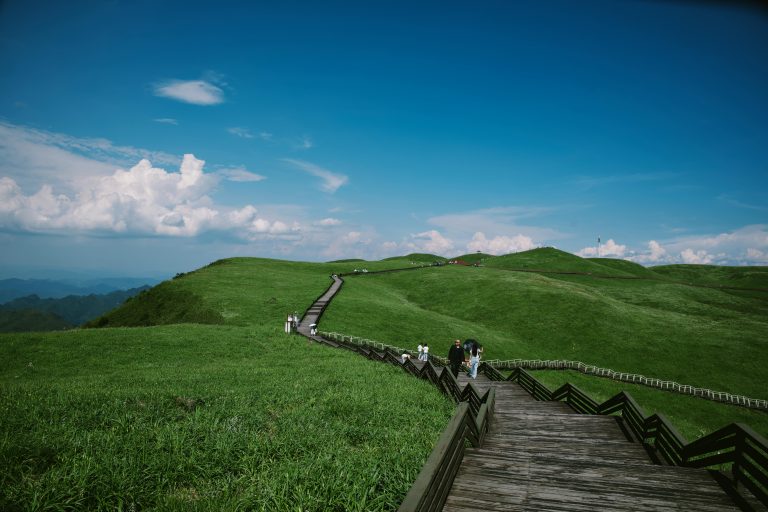 RV Kitchen Organization Tips for Small Spaces