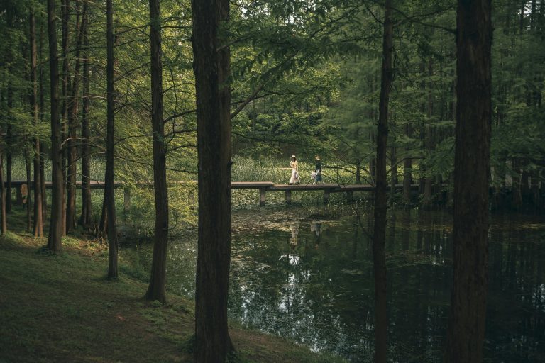 Off Road Utility Trailer Guide for US Camping