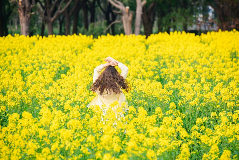 RV Life Guide: Tips, Setup & Beginner Checklist