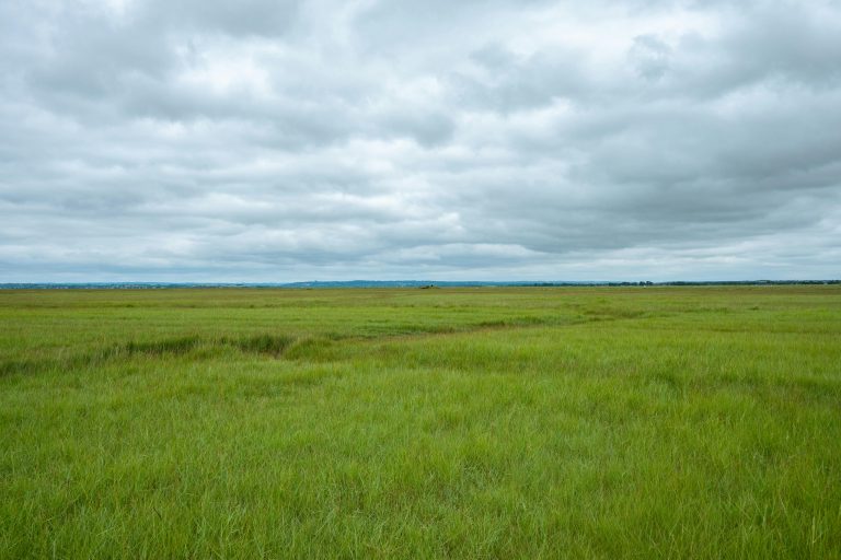 RV Beginner Easy Operation: Simple Guide for Newbies