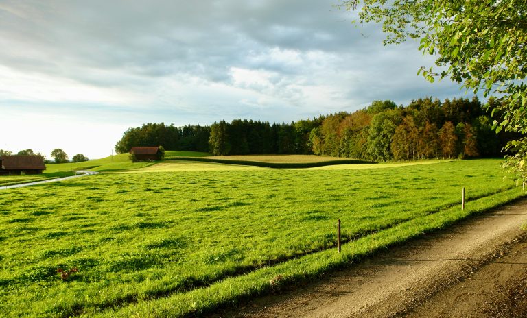 7 Pin Trailer Wiring Troubleshooting Guide