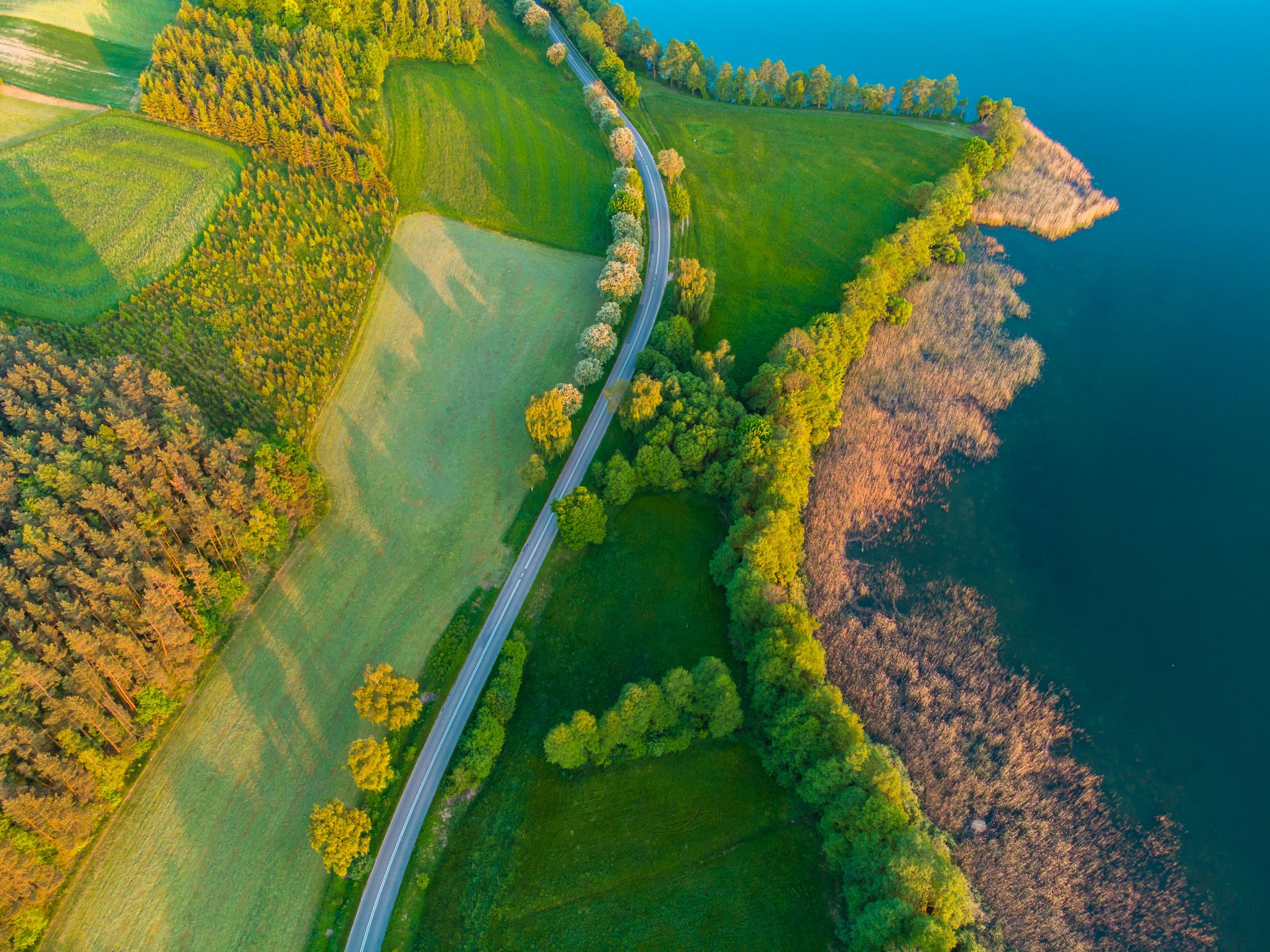 Signs of a Bad RV Battery: Symptoms & Fix Guide