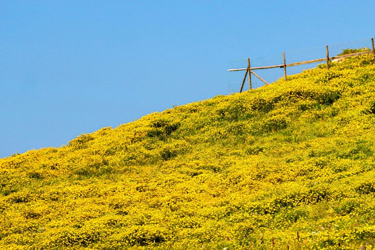 Teardrop Trailer Off Road Guide for Overlanding