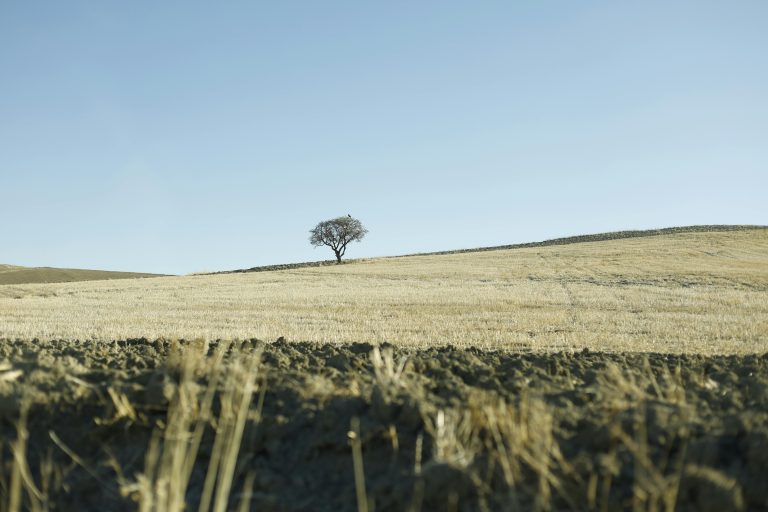 Off Road Trails Near Me for Trucks | Mars Guide