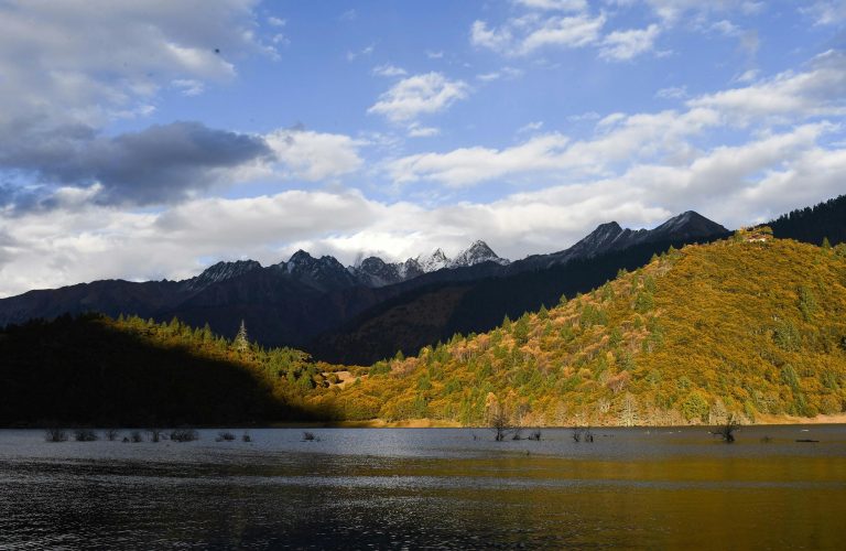 Wheel Bearing Maintenance Guide for Safe Driving