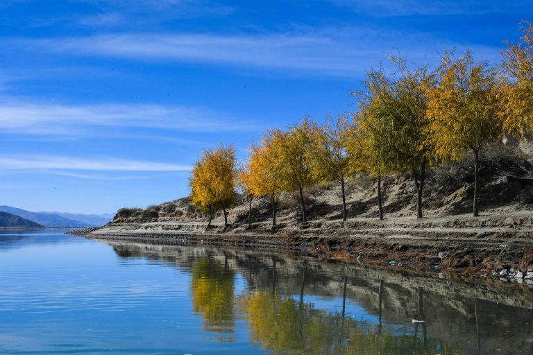 Suspension Bushing Lifespan Guide for Trucks & SUVs