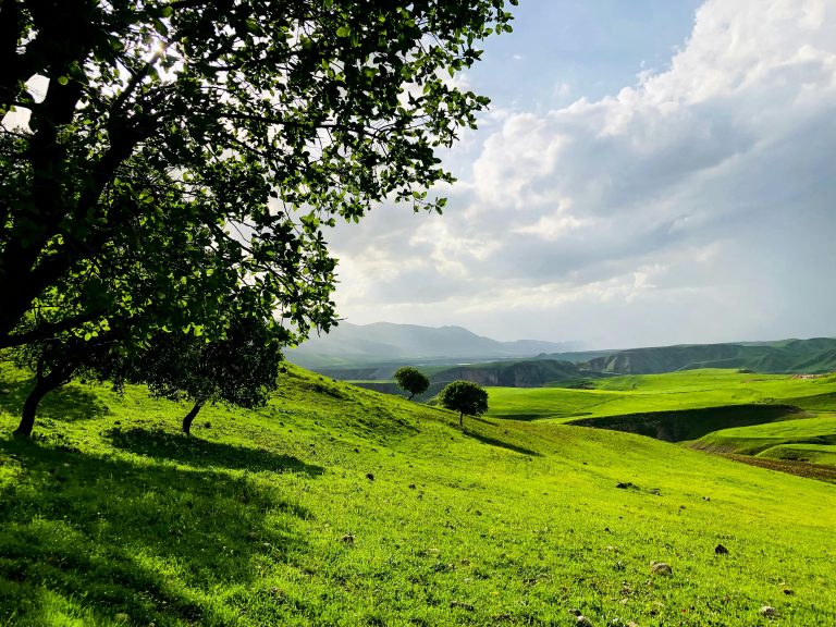 Electric Trailer Brake Adjustment Guide | Mars