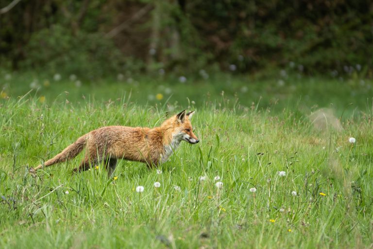 RV Security Devices Guide for Theft Prevention