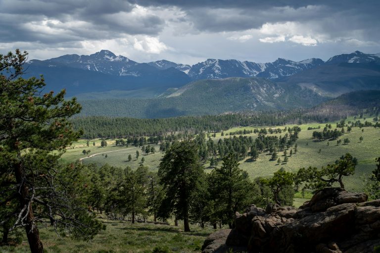 RV Black Tank Odor: Causes & Fix Guide