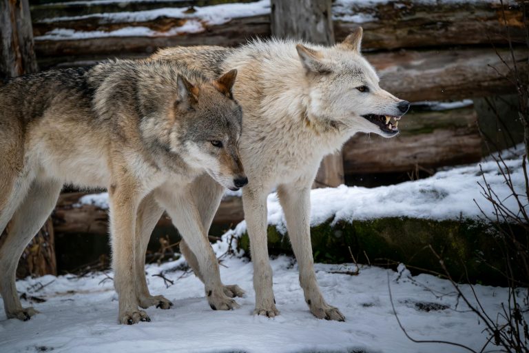 RV Efficiency Improvement: Smart Energy & Fuel Tips