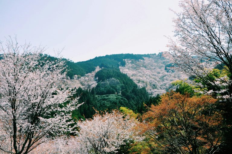 Off Road Trailer Suspension Systems Guide | Mars