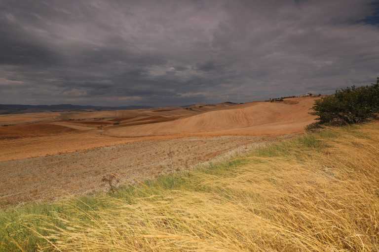 RV Mattress Guide: Comfort, Sizes & Replacement