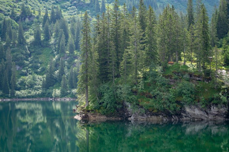 RV Resort Guide: Choose the Best RV Resort