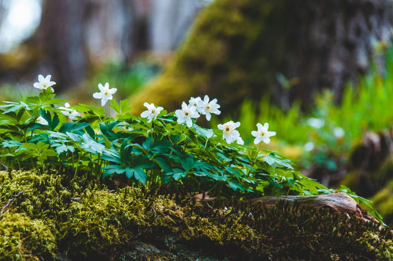 RV Correct Use Habit for Long Life Guide